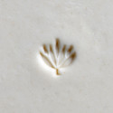 
  TAMPON ROND 1 CM - WATER LILY - Tampons & rouleaux - Cigale et Fourmi