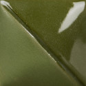 
  ENGOBE MAYCO FUNDAMENTALS - LEAF GREEN - 118 ml - Engobe liquide MAYCO FUNDAMENTALS® UNDERGLAZES 1000°C - 1280°C - Cigale et Fourmi