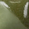 
  ENGOBE MAYCO FUNDAMENTALS - LEAF GREEN - 118 ml - Engobe liquide MAYCO FUNDAMENTALS® UNDERGLAZES 1000°C - 1280°C - Cigale et Fourmi
