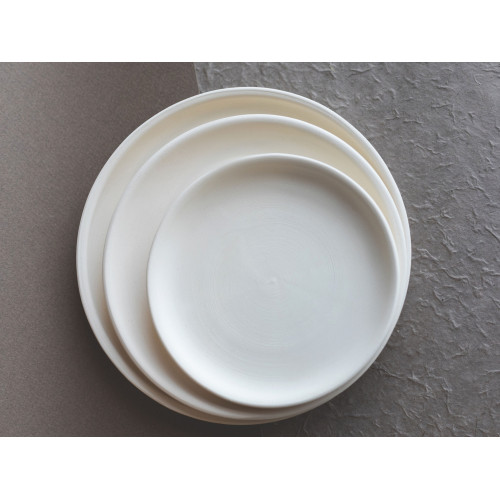 
  BISCUIT FAIENCE - ASSIETTE PLATE Ø 25 cm - Arts de la table - Cigale et Fourmi