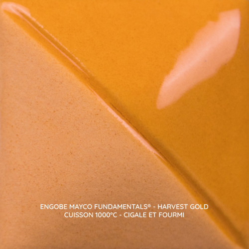 
  ENGOBE MAYCO FUNDAMENTALS - HARVEST GOLD - 118 ml - Engobe liquide MAYCO FUNDAMENTALS® UNDERGLAZES 1000°C - 1280°C - Cigale et Fourmi