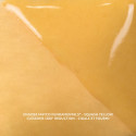 
  ENGOBE MAYCO FUNDAMENTALS - SQUASH YELLOW - 118 ml - Engobe liquide MAYCO FUNDAMENTALS® UNDERGLAZES 1000°C - 1280°C - Cigale et Fourmi