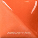 
  ENGOBE MAYCO FUNDAMENTALS - RED CORAL - 118 ml - Engobe liquide MAYCO FUNDAMENTALS® UNDERGLAZES 1000°C - 1280°C - Cigale et Fourmi