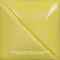 
  ENGOBE MAYCO FUNDAMENTALS - SOFT YELLOW - 118 ml - Engobe liquide MAYCO FUNDAMENTALS® UNDERGLAZES 1000°C - 1280°C - Cigale et Fourmi