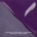 
  ENGOBE MAYCO FUNDAMENTALS - CONCORD GRAPE - 118 ml - Engobe liquide MAYCO FUNDAMENTALS® UNDERGLAZES 1000°C - 1280°C - Cigale et Fourmi