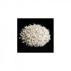 BARBOTINE PORCELAINE MONT-BLANC DE COULAGE - SEAU DE 10 Kg