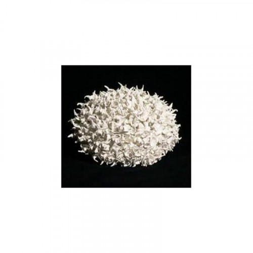 
  BARBOTINE PORCELAINE MONT-BLANC DE COULAGE - SEAU DE 10 Kg - barbotine & terre de coulage - Cigale et Fourmi
  