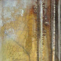 
  Nitrate d'argent - Flacon de 10g - Oxydes métalliques - Cigale et Fourmi