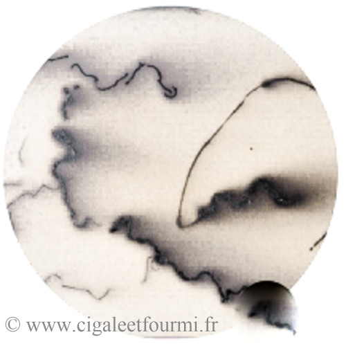
  TERRE SIGILLEE BLANCHE - 500CC - terre sigillée poterie - Cigale et Fourmi
  
