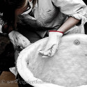 
  BOUTONS POUR FIXATION DE LA FIBRE - VENDUS PAR 10 - Matériaux pour construire son Four Raku - Cigale et Fourmi