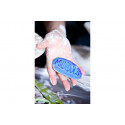 
  EPONGE BLEUE TOUT USAGE MUDTOOLS - Eponges et Râpes à terre - Cigale et Fourmi