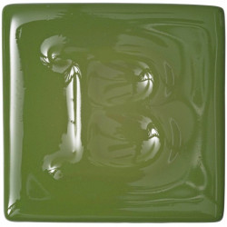 EMAIL PREPARE VERT SAPIN BRILLANT - 200 ml