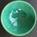 
  Email preparé vert de mer brillant - 200 ml - Émaux faïence liquides  BOTZ 1020°C - 1060°C - Cigale et Fourmi
