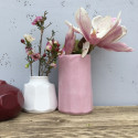 
  Email preparé rose pastel brillant - 200 ml - Émaux faïence liquides  BOTZ 1020°C - 1060°C - Cigale et Fourmi