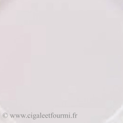 GRES BLANC LISSE SPECIAL TOURNAGE GT5700B - SAC 10 Kg
