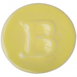 EMAIL PREPARE BOTZ PRO JAUNE CITRINE - 800 ml