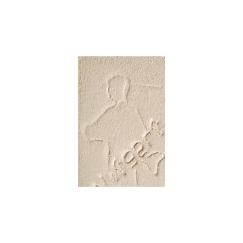 
  POUDRE DE COULAGE FAIENCE BLANCHE N°205 - 25 Kg - barbotine & terre de coulage - Cigale et Fourmi
  