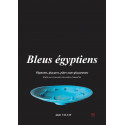 
  BLEUS EGYPTIENS - ALAIN VALTAT - Livres sur l'émail céramique - Cigale et Fourmi