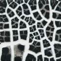 
  EMAIL FAIENCE MAYCO - BLACK COBBLESTONE - 118 ml - Emaux liquides faïence MAYCO ELEMENTS 1000°C - 1040°C - Cigale et Fourmi