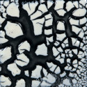 
  EMAIL FAIENCE MAYCO - WHITE COBBLESTONE - 118 ml - Emaux liquides faïence MAYCO ELEMENTS 1000°C - 1040°C - Cigale et Fourmi