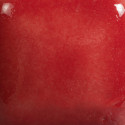 
  EMAIL OPAQUE BRILLANT MAYCO FOUNDATIONS - RED - 473 ml - Emaux liquides faïence MAYCO FOUNDATIONS® 1000°C - 1040°C - Cigale et Fourmi