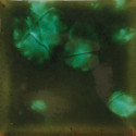 
  EMAIL FAIENCE MAYCO JUNGLE GEMS - WOODLAND FANTASY - 118 ml - Emaux liquides faïence MAYCO JUNGLE GEMS™ CRYSTAL GLAZE 1000°C - 1040°C - Cigale et Fourmi