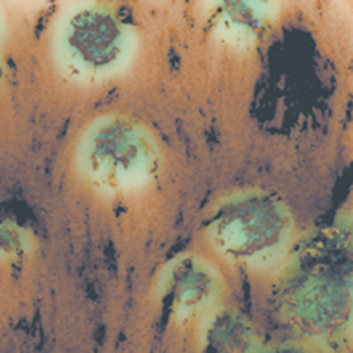 
  EMAIL FAIENCE MAYCO JUNGLE GEMS - CAPPUCCINO MINT - 118 ml - Emaux liquides faïence MAYCO JUNGLE GEMS™ CRYSTAL GLAZE 1000°C - 1040°C - Cigale et Fourmi