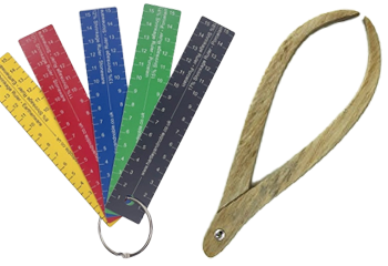 Outils de mesure - Cigale et Fourmi