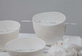 Paper clay: porcelaine papier & terre papier achat