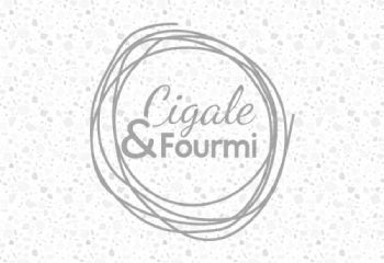 PIECES DÉTACHÉES - Cigale et Fourmi